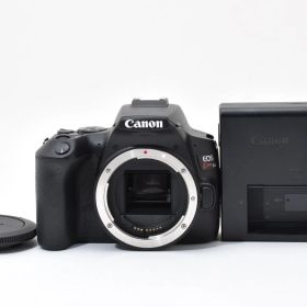 ★極美品★ 《ショット数 5000回以下》 キヤノン CANON EOS Kiss X10 ボディ #2339