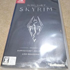 The Elder Scrolls V: Skyrim Switch