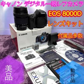 ☆動作品 送料無料 美品 Canon キャノン EOS 8000D レンズキット EF-S18-135mm F3.5-5.6 IS STM 付属 デジタル一眼レフカメラ 18135ISSTMLK