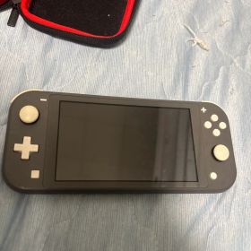 Nintendo Switch Lite 本体 グレー