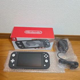 2024年 動作OK Switch Lite 付属品完品 新品充電器 状態必読