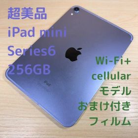 P110 超美品 iPad mini 第6世代 256GB cellular
