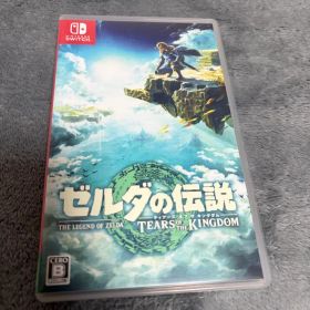 ゼルダの伝説 ティアーズ オブ ザ キングダム Switch