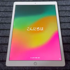 Apple iPad Pro 12.9 新品¥10,288 中古¥10,000 | 新品・中古のネット最