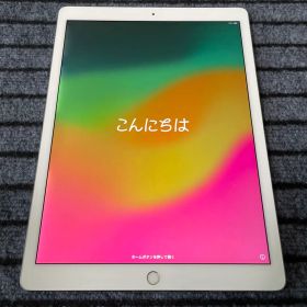 130 iPad Pro 12.9 2世代 64GB Wi-Fi シルバー