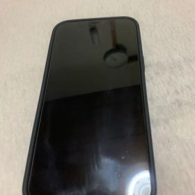 Apple iPhone 12 Pro max 本体