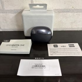 Shokz OpenDots ONE E310 ワイヤレスイヤホン 本体