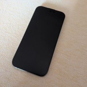 Apple iPhone 16 Pro 256gb本体