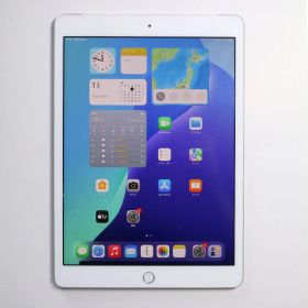 【画面ヒビ】iPad 8th 32GB Wi-Fi+Cellular シルバー