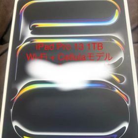 13インチiPad Pro M4 1TB NanoTexture おまけ付き