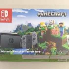 NINTENDO SWITCH HAC-S-KAAGE 任天堂