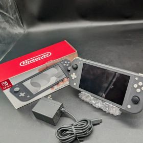 【簡易動作確認OK】Nintendo Switch Lite グレー