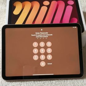 Apple iPad mini 第6世代 256gb ピンク Wi-Fiモデル