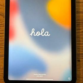 Apple iPad mini 本体