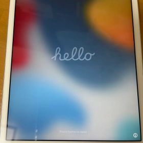 iPad mini4 A1550 16GB