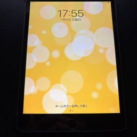 iPad mini4 スペースグレー 16GB❗️