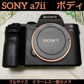 α7 II 新品 79,500円 中古 48,000円 | ネット最安値の価格比較