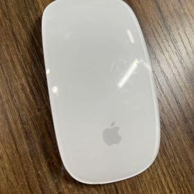 Magic mouse 2