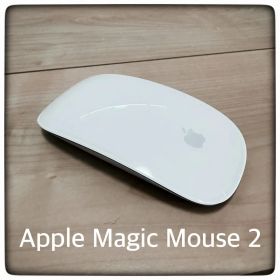 Apple Magic Mouse 2 本体 美品