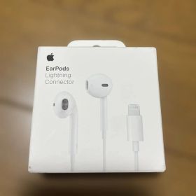 Apple EarPods with Lightning Connector