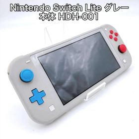 Nintendo Switch Lite グレー 本体 HDH-001 ジャンク