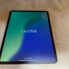 iPadpro 12.9 256G 第4世代