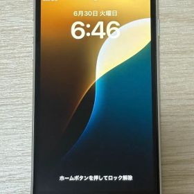 Apple iPhone SE2 ホワイト 64GB 本体 ジャンク