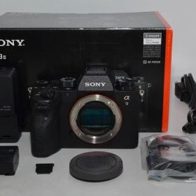 260439★極上★SONY(ソニー) フルサイズミラーレス一眼 α9M2 ボディ ILCE-9M2 SONY