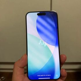 Apple iPhone15Pro Max本体 美品