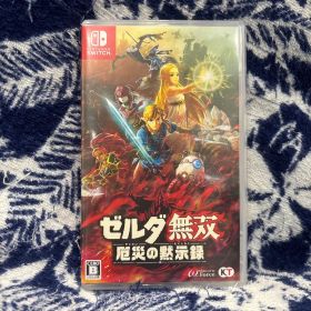 ゼルダ無双 厄災の黙示録 Nintendo Switch