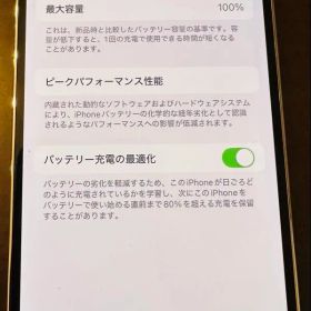 Applecare交換品シャッター音無 iPhone14 pro128G US版