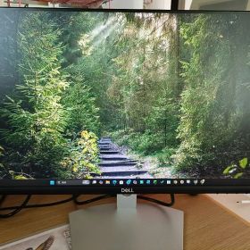 DELL S2421HN-R 23.8型/フルHDディスプレイ モニター本体