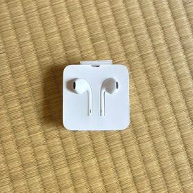 Apple EarPods with Lightning Connector
