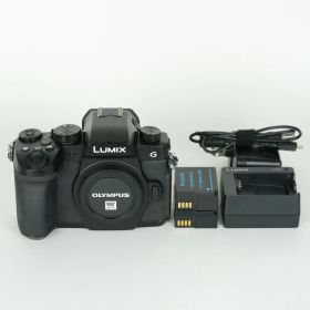 [良品 | シャッター数14,170回] Panasonic LUMIX DC-G99 | マイクロフォーサーズマウント