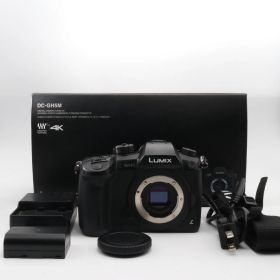 Panasonic LUMIX GH5 DC-GH5 ボディ ブラック 〔マイクロフォーサーズマウント〕