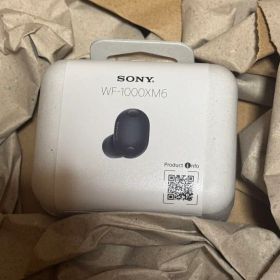 新品未開封 ソニー WF-1000XM6 ワイヤレスイヤホン 公式オンライン購入