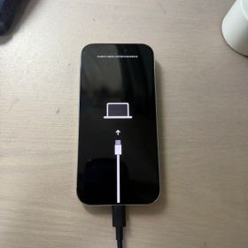Apple iPhone 16 Pro ホワイトチタニウム 256GB本体