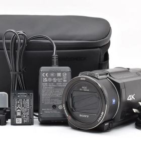 SONY FDR-AX60 4K ビデオカメラ 本体
