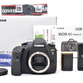 動確済 美品 Canon EOS 6D Mark II 11.540回 #222