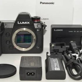 1180★美品・ショット数47556回★Panasonic ミラーレス一眼カメラ LUMIX S1 ボディ