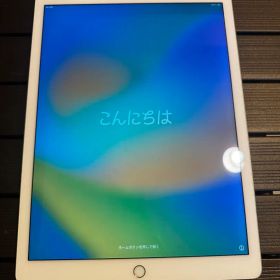 AppleiPadPro12.9インチ 第2世代 Wi-Fi+Cellular