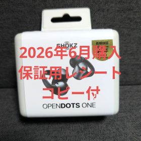 【新品・未開封】Shokz OpenDots ONE ブラック
