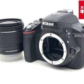 【中古】 【並品】 ニコン D5300 AF-P 18-55 VR キット