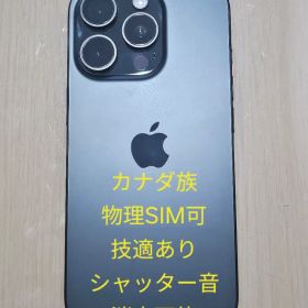 Apple iPhone 16 Pro Black 256GB CA族