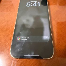 Apple iPhone 14 Pro 本体
