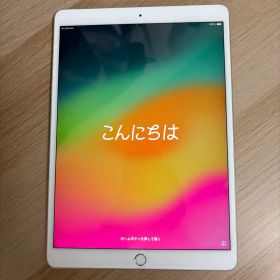 Apple iPad Pro 10.5インチ 本体