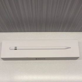 Apple Pencil第1世代（A1603）付属品完備