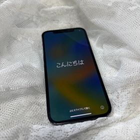 Apple iPhone 12 Pro 本体