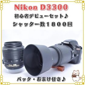 Nikon D3300 Ｗレンズセット 初心者おススメポイント シャッタ数少