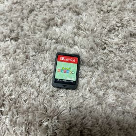 あつまれ どうぶつの森 Nintendo Switch ソフト